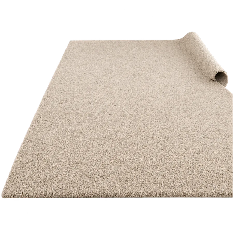 Grande moquette — nettoyage de moquette à Toulouse